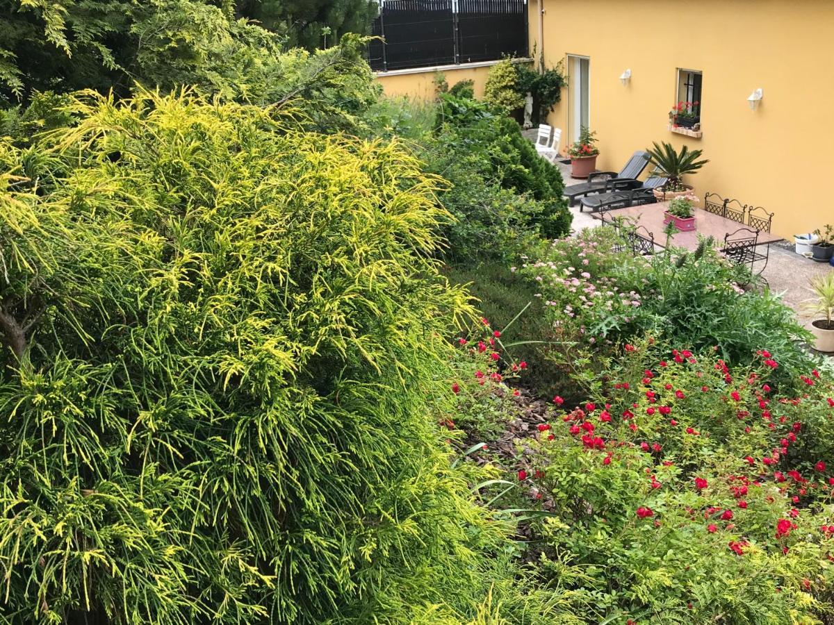 Le Chant Des Oiseaux - Au Pied De La Voie Cyclable Homestay Crevechamps