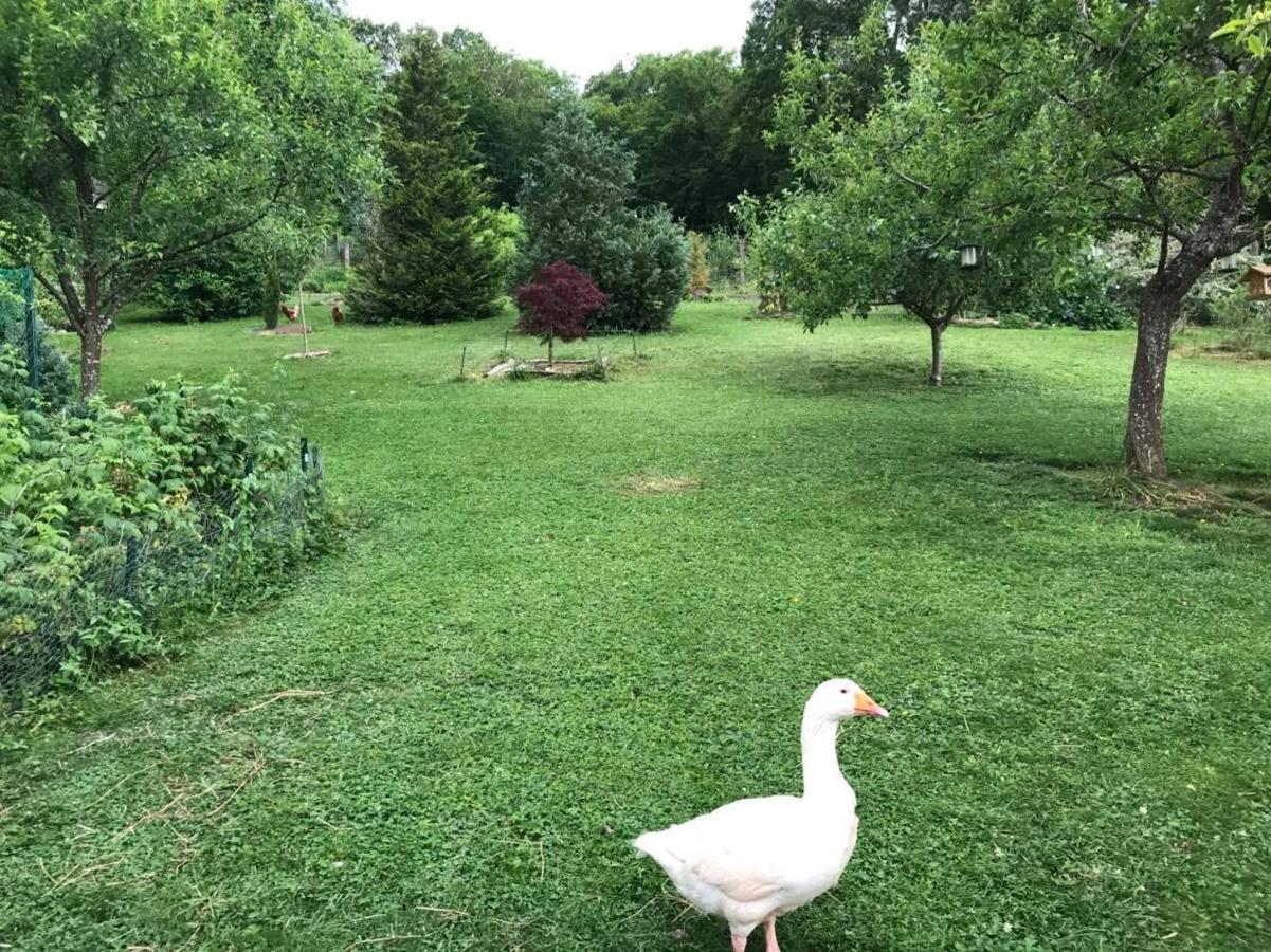 Homestay Le Chant Des Oiseaux - Au Pied De La Voie Cyclable