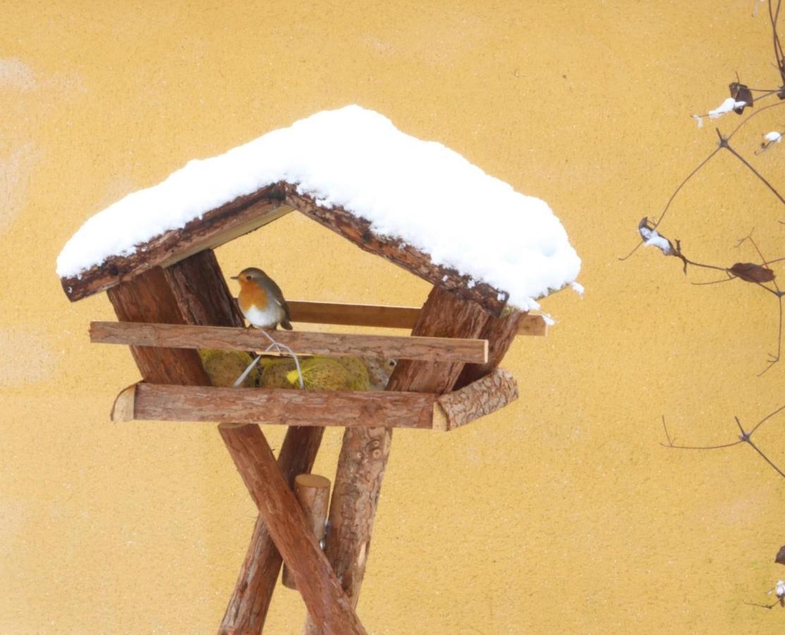 Le Chant Des Oiseaux - Au Pied De La Voie Cyclable Homestay