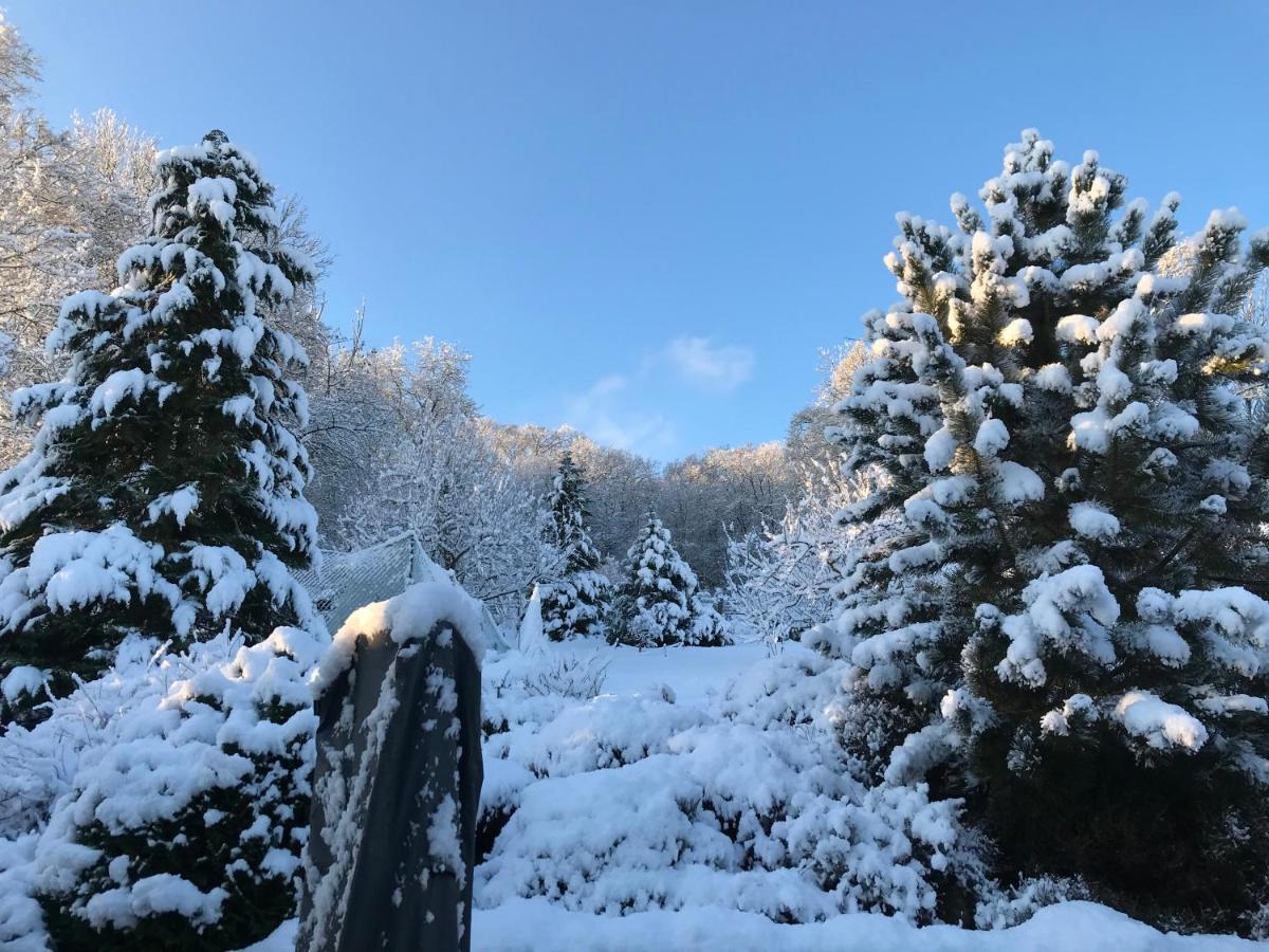 Homestay Le Chant Des Oiseaux - Au Pied De La Voie Cyclable