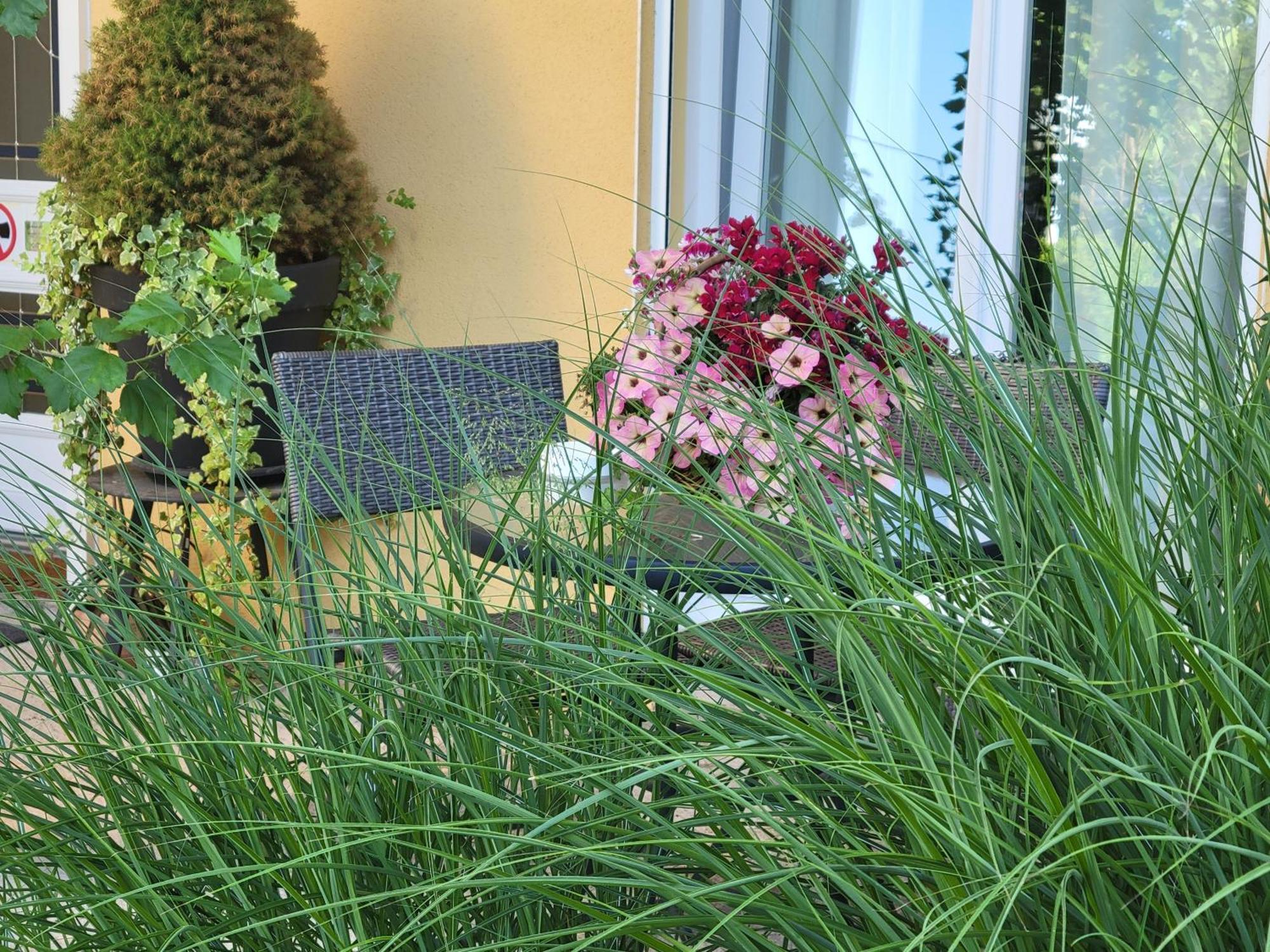 Homestay Le Chant Des Oiseaux - Au Pied De La Voie Cyclable